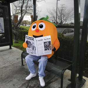 Album art of "Orange Juice"